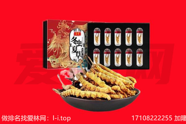 郑州市中牟回收虫草.jpg